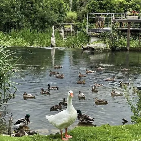 Hébergement de vacances Happiness Sur Charente *