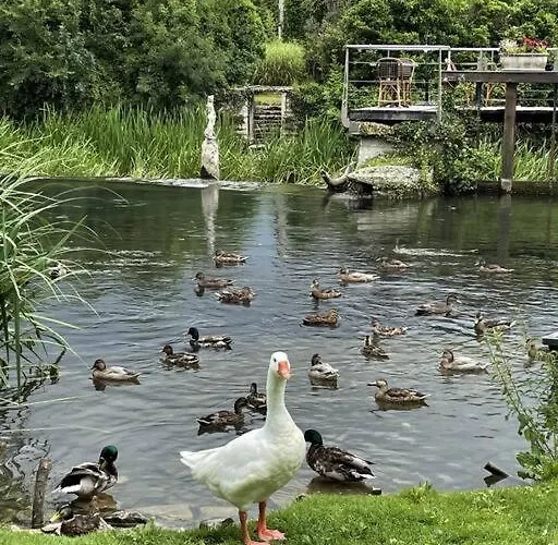 Сasa de vacaciones Happiness Sur Charente *